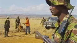 Visuel de Kenya, chroniques de la vie sauvage