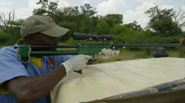 Kenya, chroniques de la vie sauvage Mission à haut risque