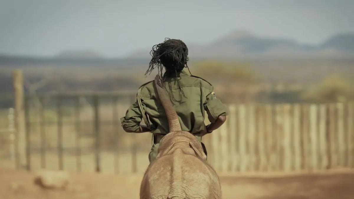 Kenya, gardiennes des éléphants