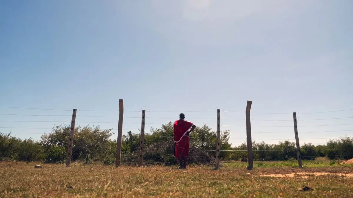Kenya, la résistance des Massaï : Un jeune chef pour un grand défi