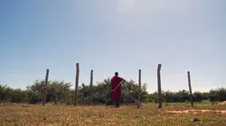 Visuel de Kenya, la résistance des Massaï : Un jeune chef pour un grand défi