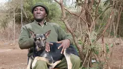Kenya, les chiens au secours des éléphants