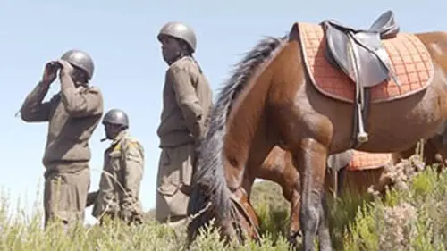 Kenya, les gardiens de la montagne