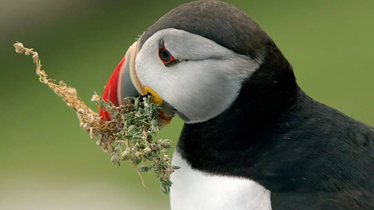 Kerry, l'Ouest sauvage de l'Irlande