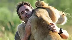 Visuel de Kevin et les lions