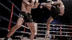 Visuel de Kick-boxing Enfusion 67