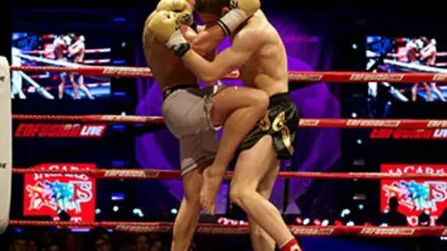 Kick-boxing Enfusion 73