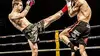 Kick-boxing Talents 27