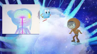 Voyage au centre du cerveau