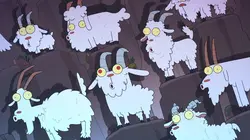 Kiff  S01E16 Les nouvelles mamies / Lapin-sitting