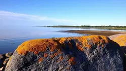 Kihnu en Estonie : une île d'un autre temps