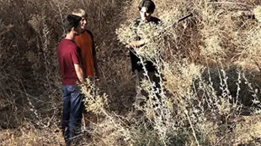 Règlement de comptes