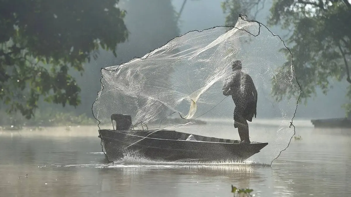 Kinabatangan, le fleuve prodigue de Bornéo E03 Homme et nature : un difficile équilibre