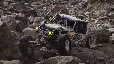 Kings of the Desert