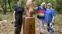 Kings of the Wood