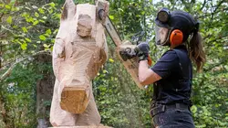 Kings of the Wood