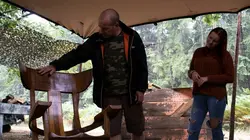 Kings of the Wood