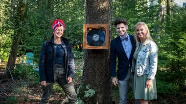 Une boîte à bijoux pour Sue