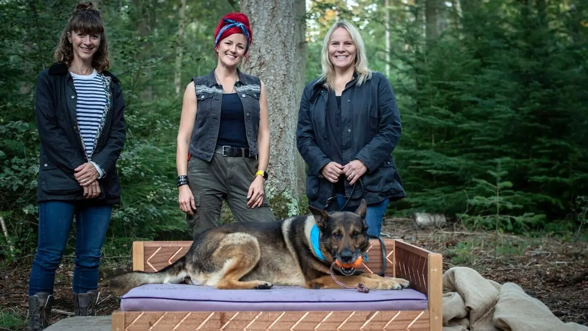 Kings of the Wood Un panier pour Wolfie
