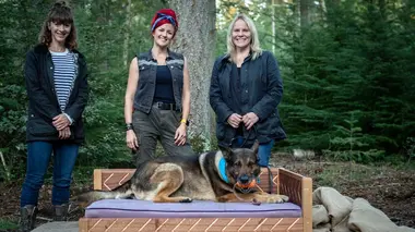 Un panier pour Wolfie