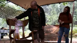 Visuel de Kings of the Wood