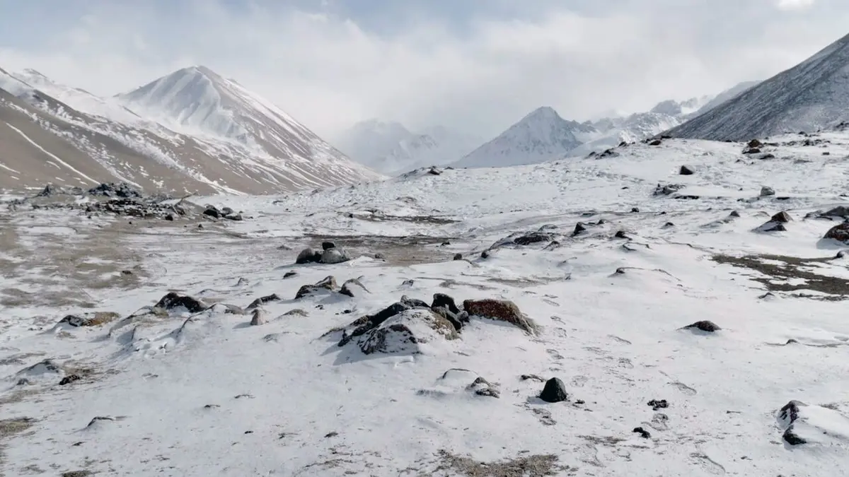 Kirghizistan, espoir pour les panthères des neiges