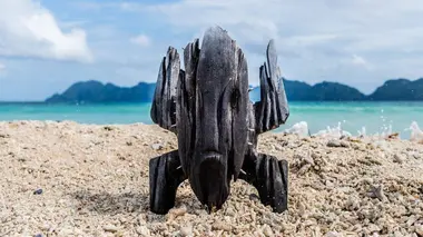 Koh-Lanta Le totem maudit