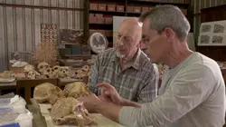 Kromdraai, à la découverte du premier humain