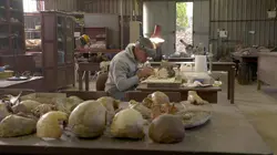 Kromdraai, à la découverte du premier humain