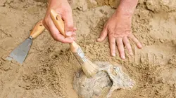 Kromdraai, à la découverte du premier humain