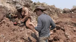 Kromdraai, à la découverte du premier humain