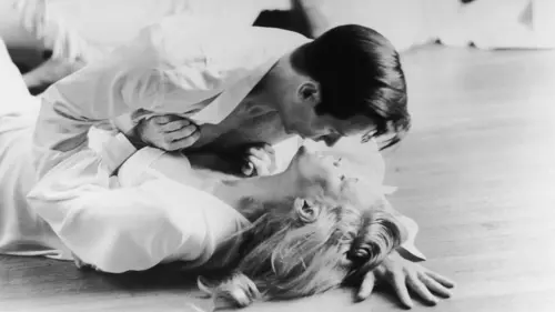 L.A. Confidentiel Nightbitch