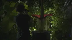 L'abominable mystère des fleurs