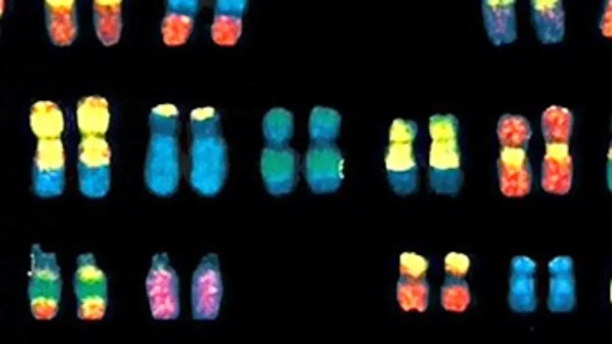 L'ADN, nos ancêtres et nous