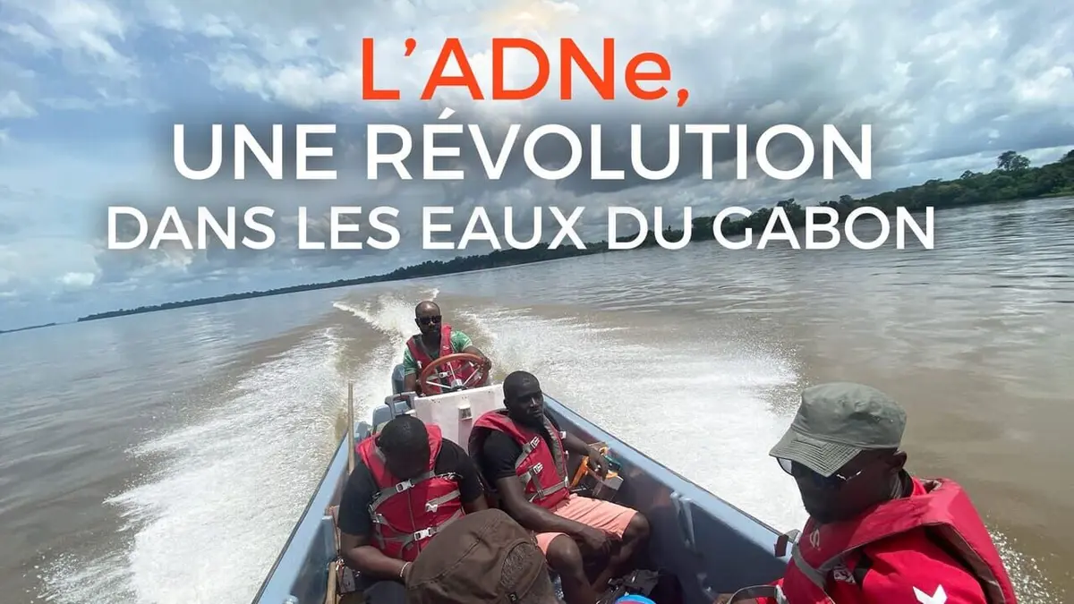 L'ADNe, une révolution dans les eaux du Gabon