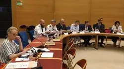 Visuel de L'affaire Benalla, l'enquête du Sénat