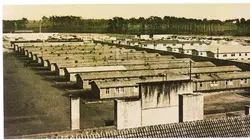 L'affaire Johanna Langefeld