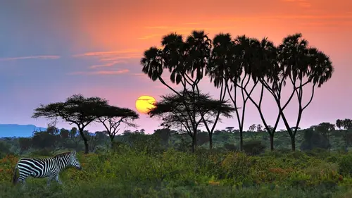 L'Afrik en conte