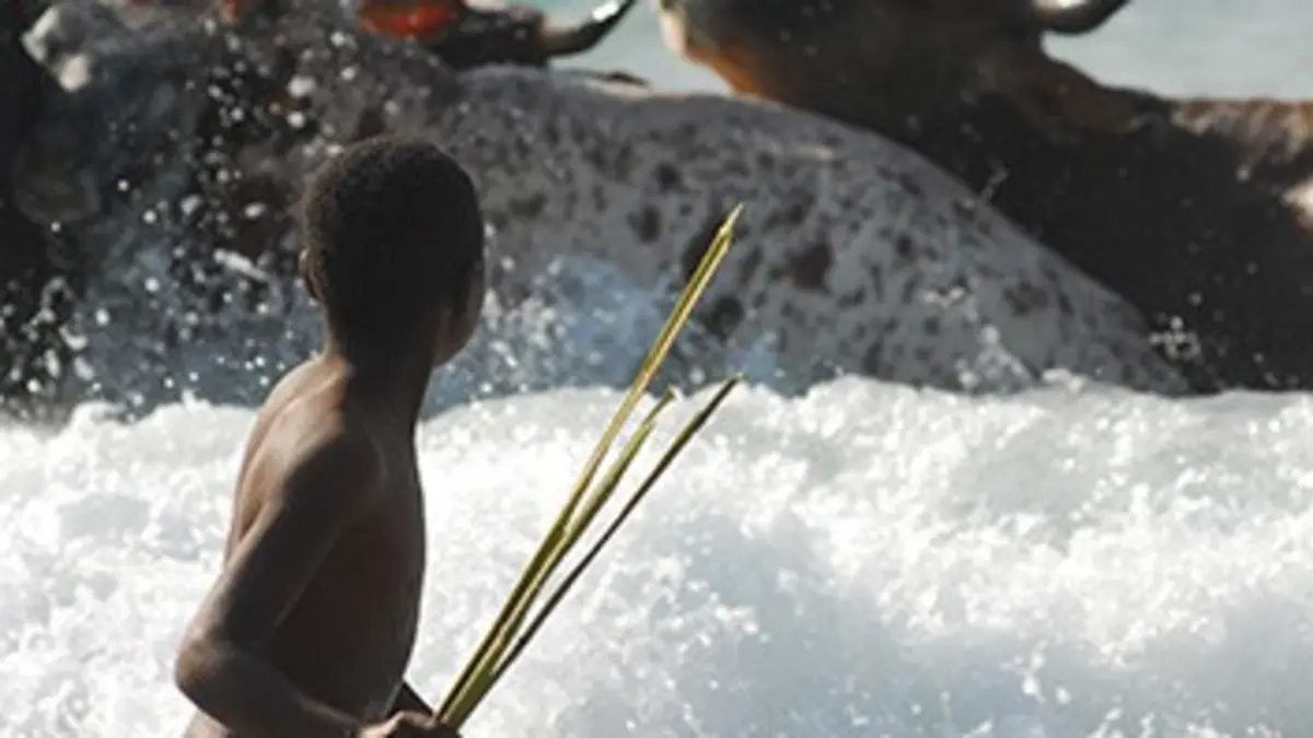 L'Afrique des paradis naturels E04 La côte sauvage du Cap-Oriental