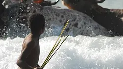 Visuel de L'Afrique des paradis naturels