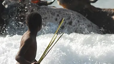 La côte sauvage du Cap-Oriental