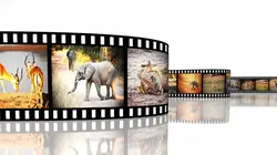 L'Afrique du Sud vue du ciel