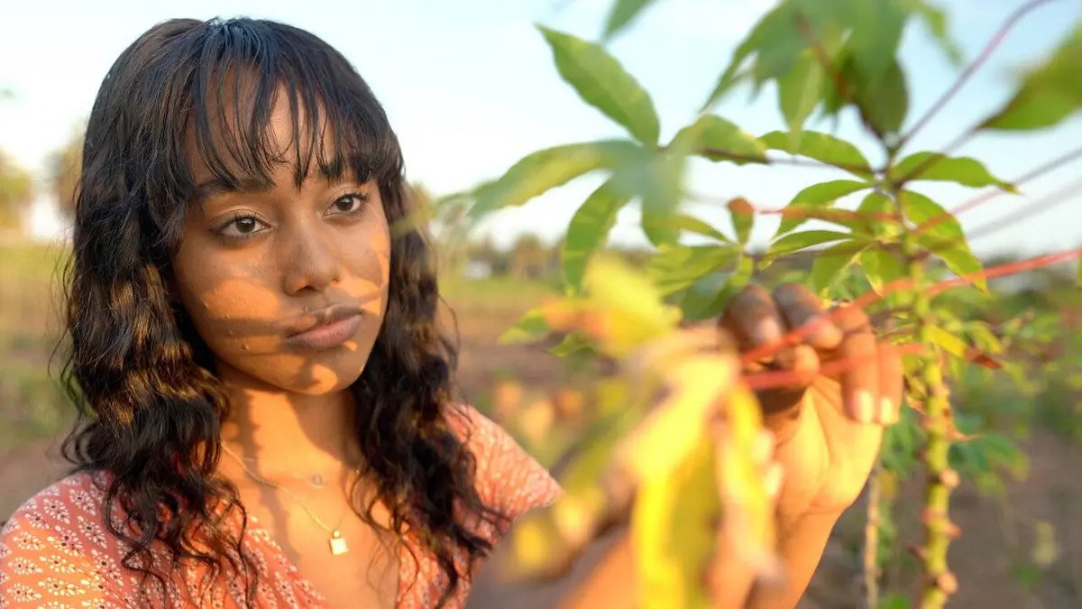 L'Afrique, les OGM et Bill Gates