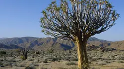 L'Afrique sauvage en quatre saisons