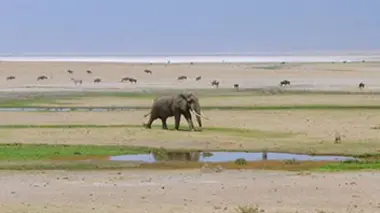 Le désert du Kalahari