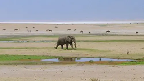 L'Afrique, un paradis indompté Le désert du Kalahari