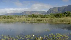 Visuel de L'Afrique, un paradis indompté