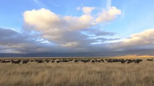L'Afrique, un paradis indompté Le dôme de Vredefort, source de vie