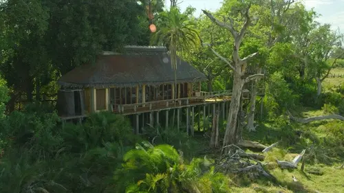 L'Afrique vue d'en haut S01E03 Le Botswana