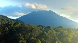 L'Afrique vue du ciel